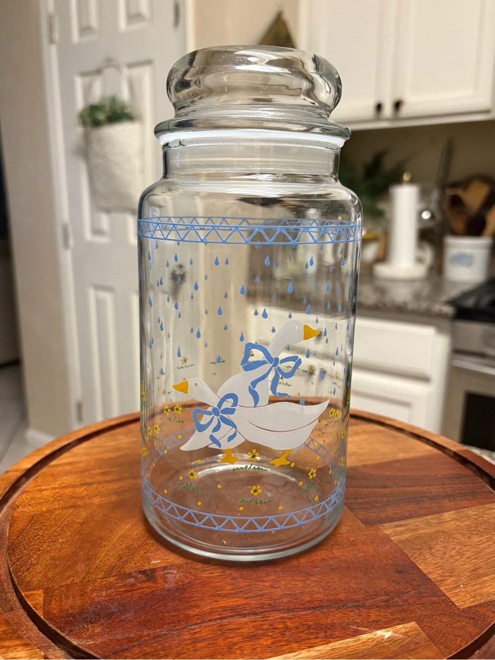 Clear Glass Kitchen Canister with Lid, Blue Yellow Goose Farmhouse
